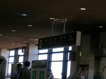 akita01.jpg
