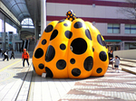 kusama001.jpeg