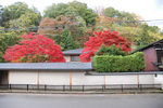 sakusetsuken002.jpg