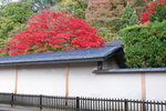 sakusetsuken003.jpg