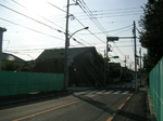 sugi01.jpg