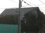 sugi02.jpg