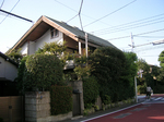 sugi04.jpg